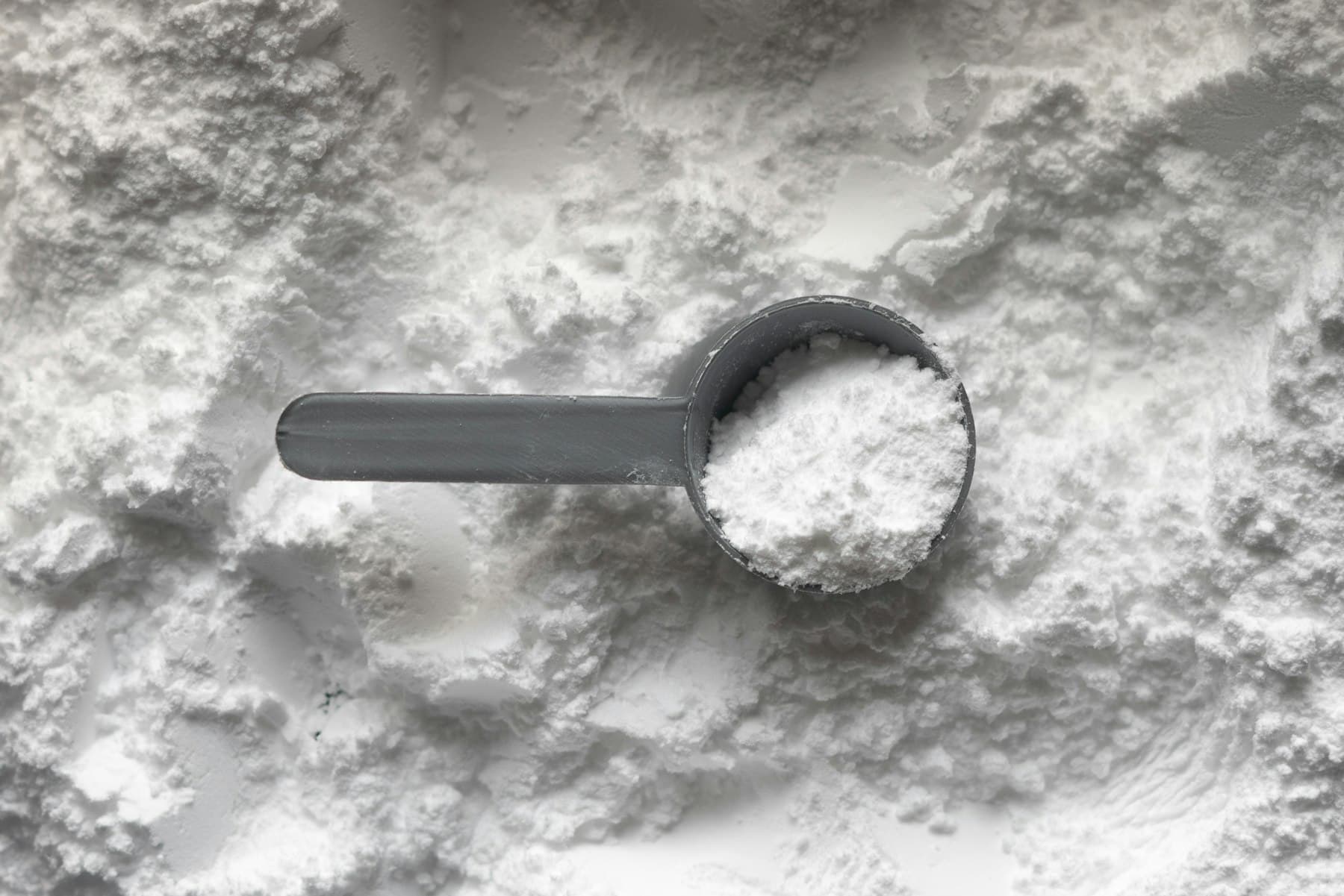 A grey plastic scoop filled with white creatine monohydrate powder resting on a pile of powder
