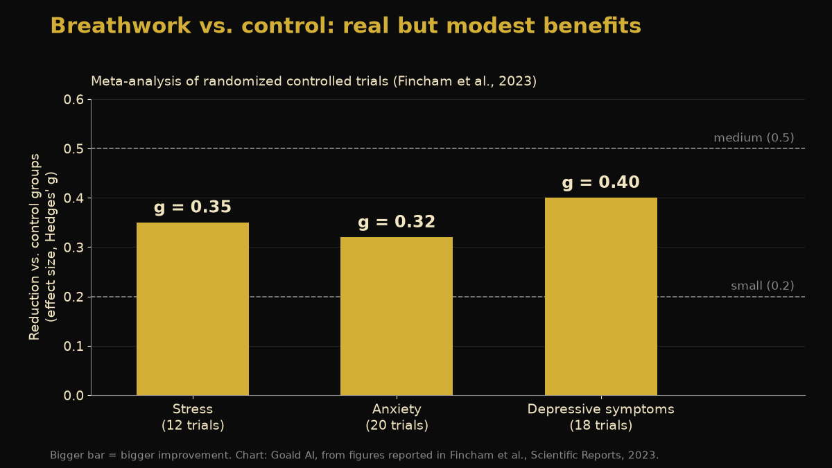 Bar chart of breathwork effect sizes versus control groups from a 2023 meta-analysis: stress g = 0.35 across 12 trials, anxiety g = 0.32 across 20 trials, and depressive symptoms g = 0.40 across 18 trials, all between the small and medium effect thresholds